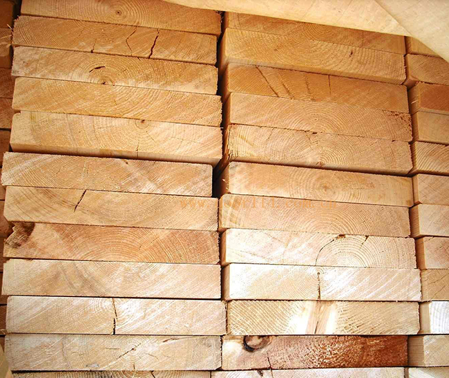 儋州智利辐射松方木